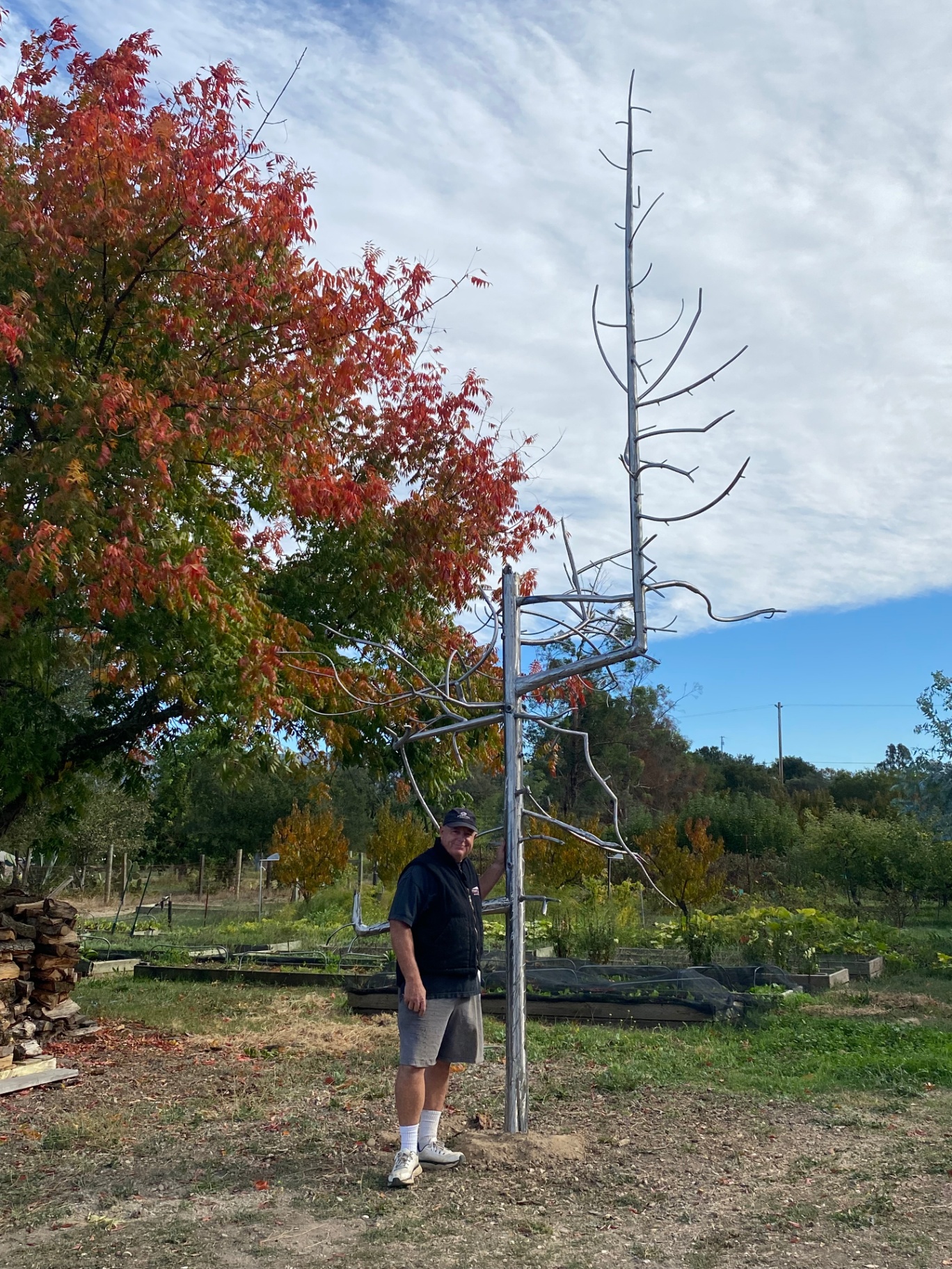 Ghost Tree Sculpture — In Progress