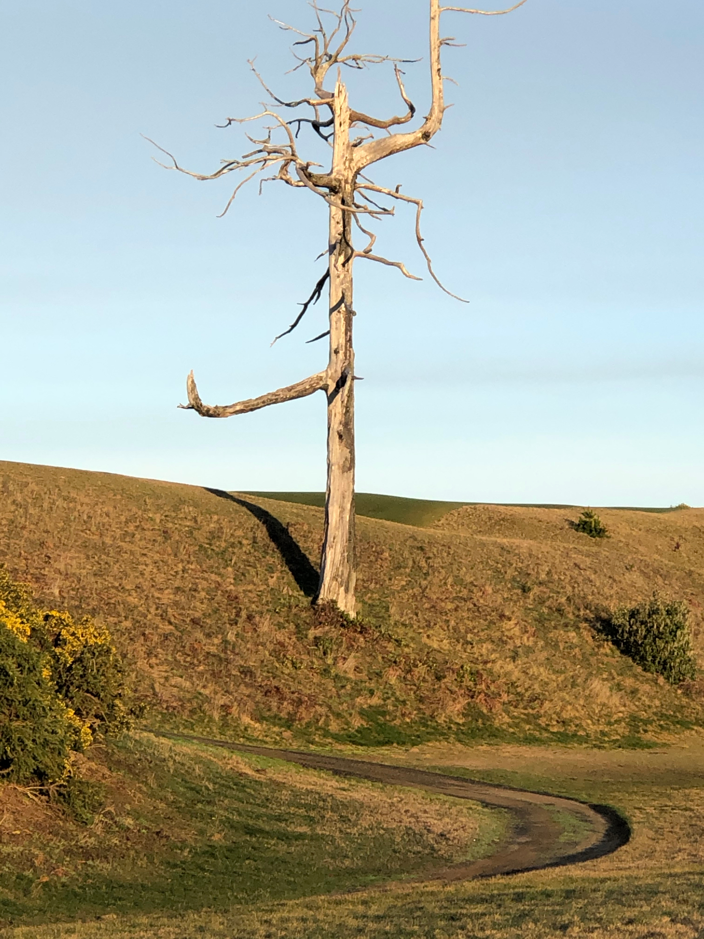 Bandon Dunes Golf Resort