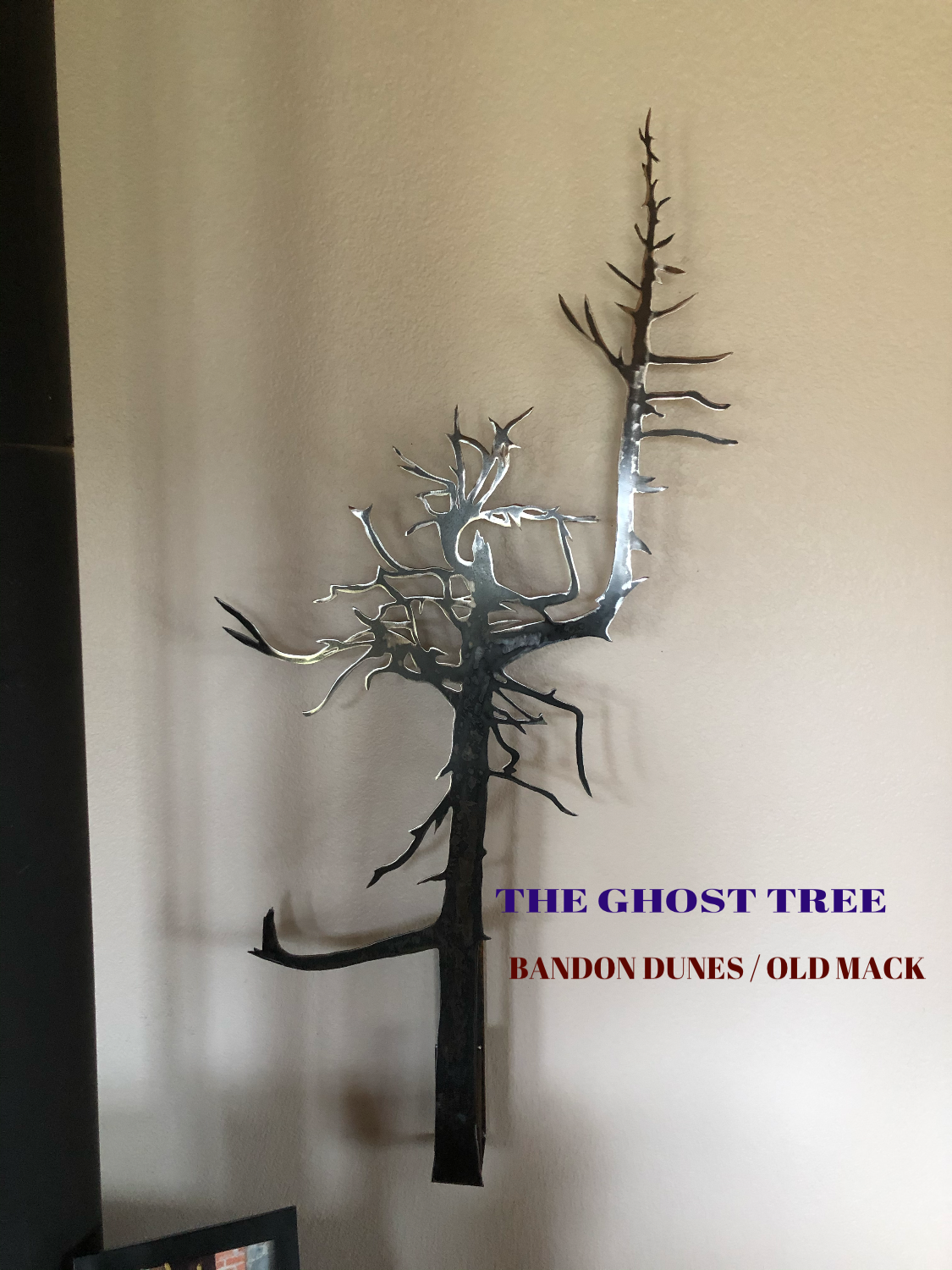 Ghost Tree — Bandon Dunes / Old Mack