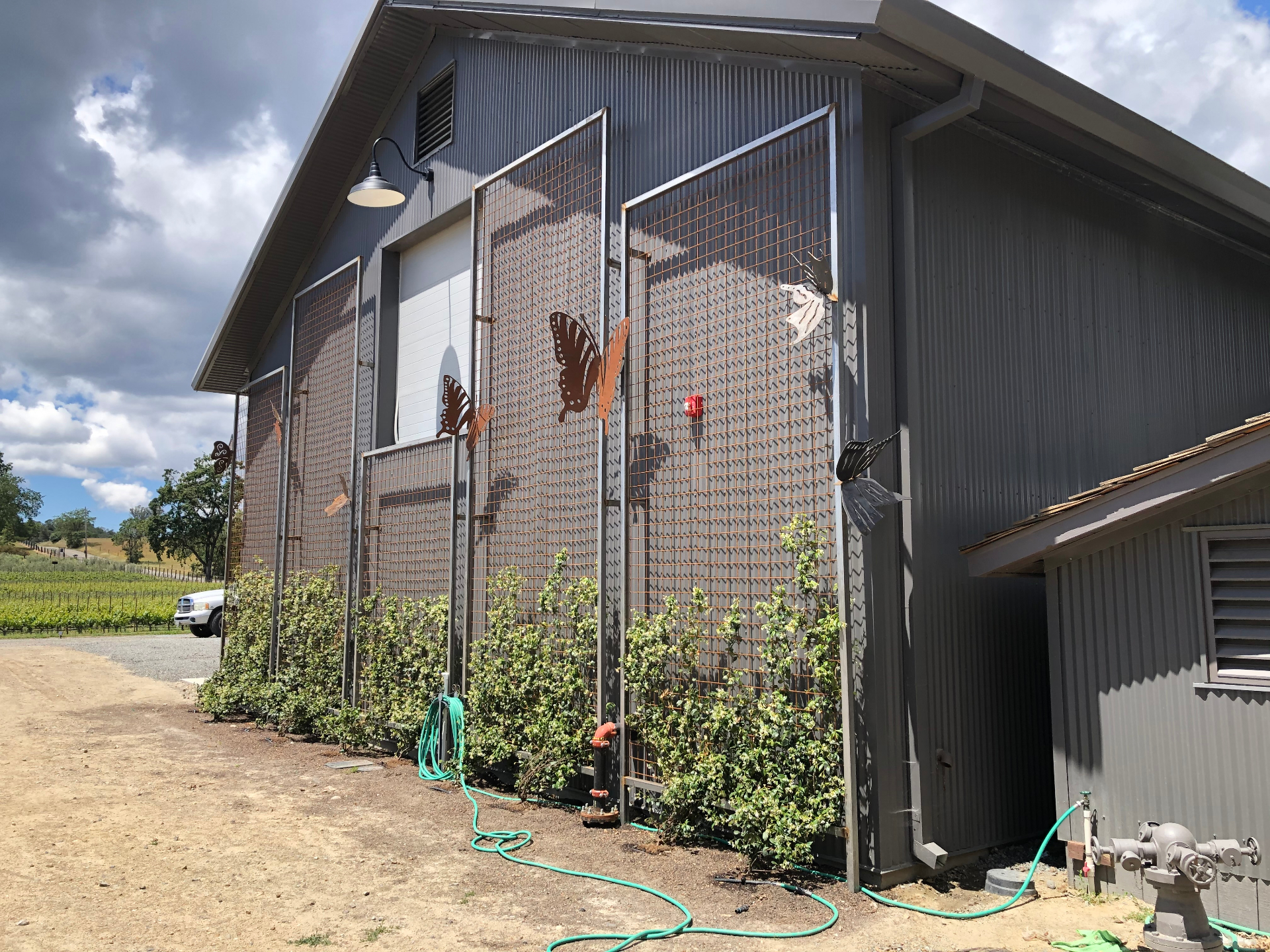Butterfly Trellis Panels