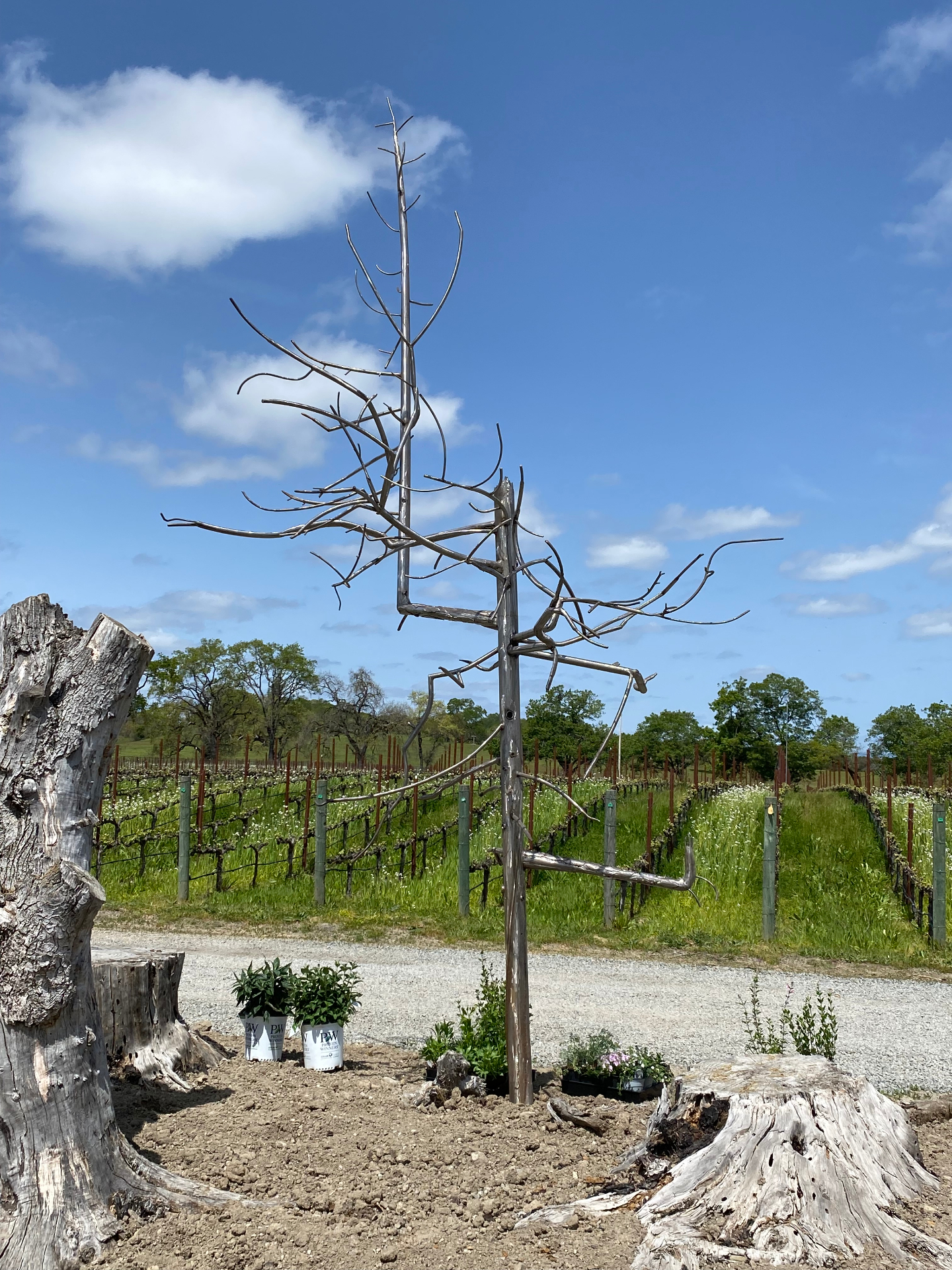 Steel Tree Sculpture