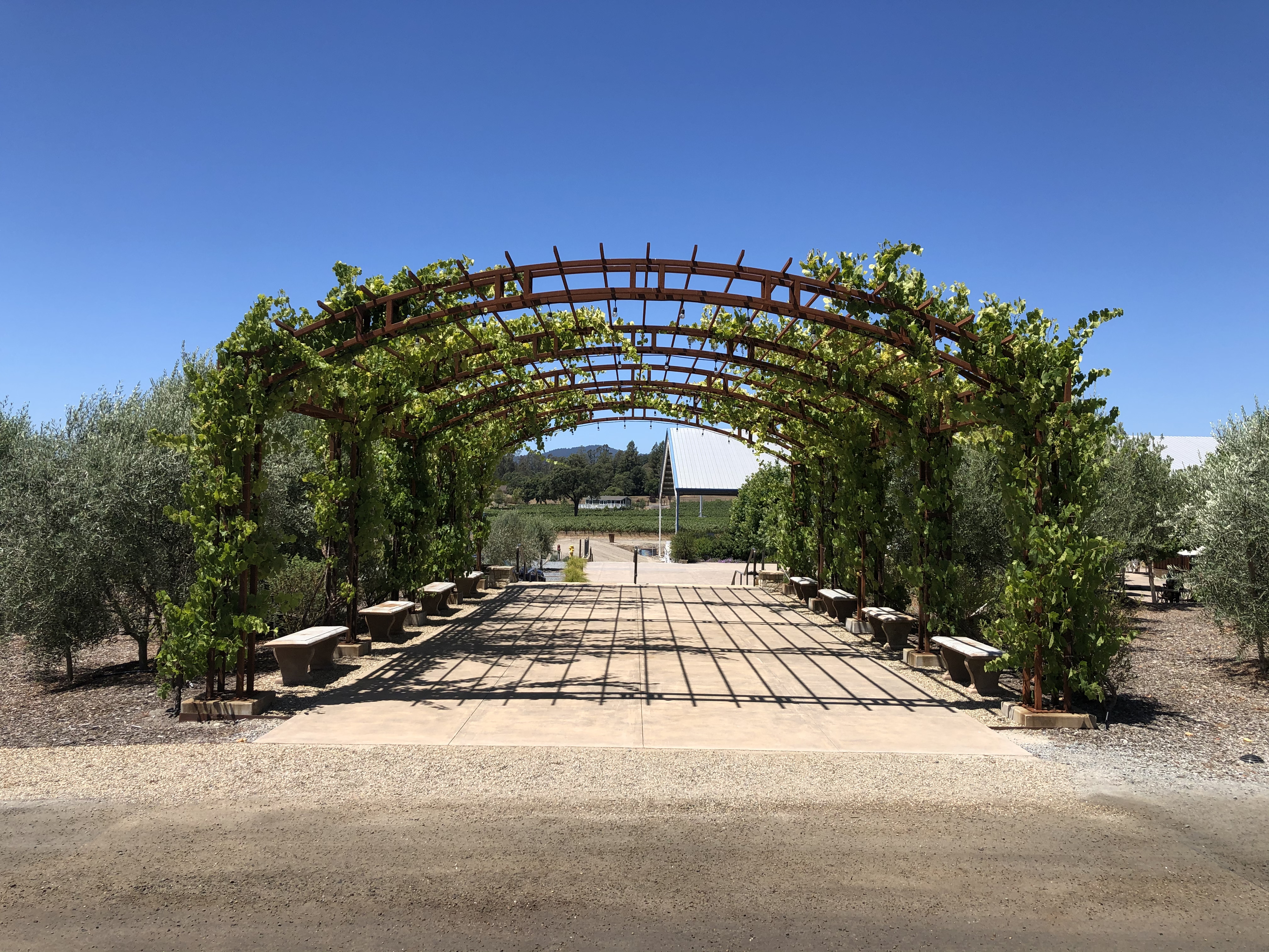 Bricoleur Vineyards Installation
